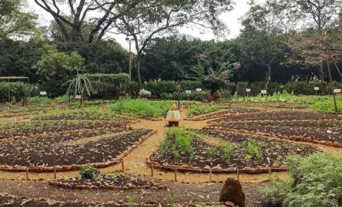 Meliponário Jardim da Paz